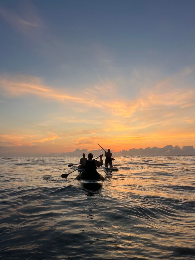 Sunset and Glow Tours Transform the Bay After Dark Sunset and Glow Tours Transform the Bay After Dark