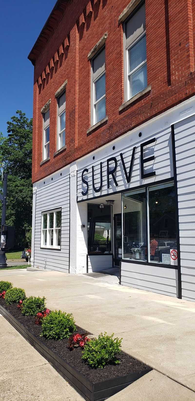 Surve Surve