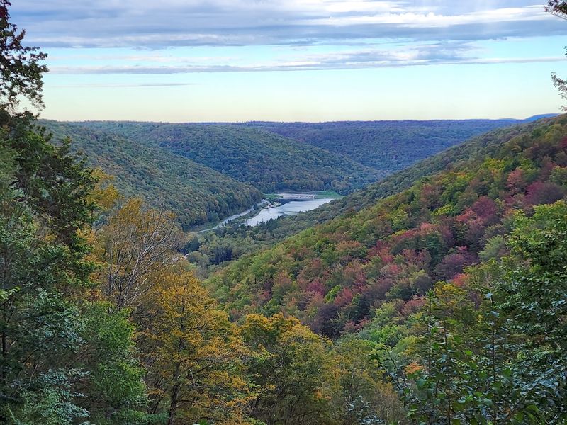 Susquehannock State Forest Susquehannock State Forest