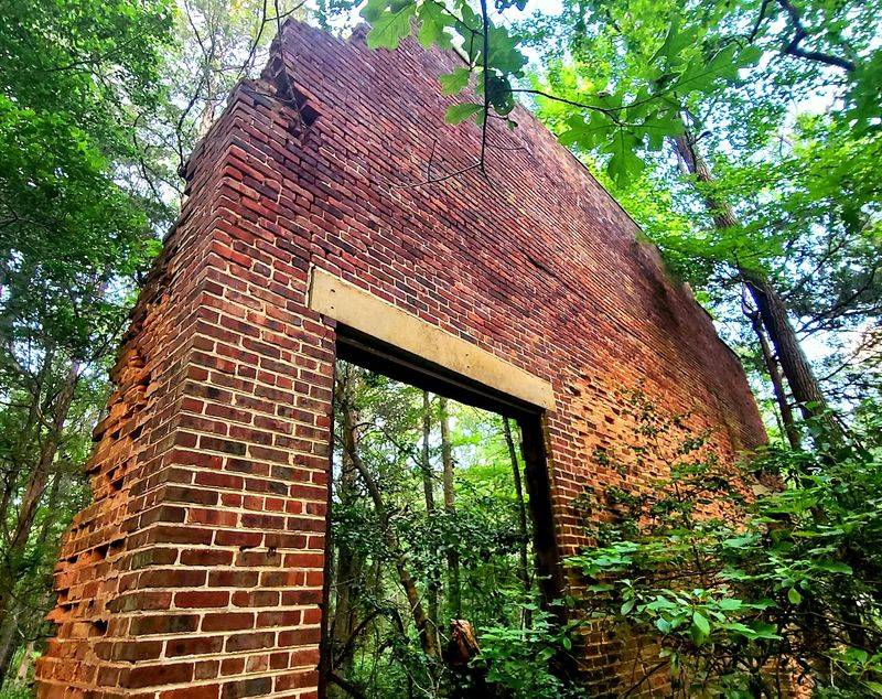 Swamp Trail to North End Trail - Estell Manor Park