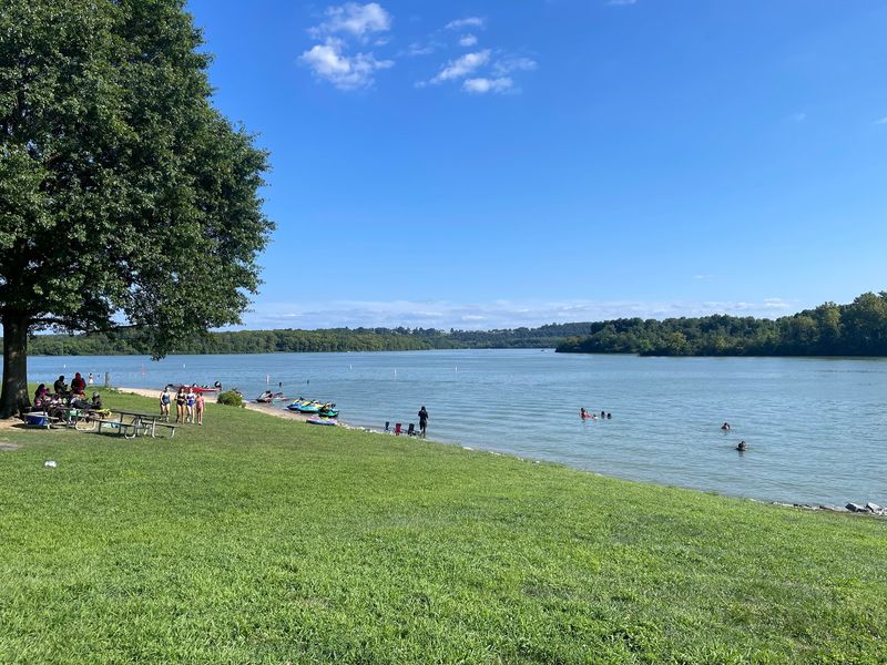Swim Beach, Blue Marsh Lake Swim Beach, Blue Marsh Lake