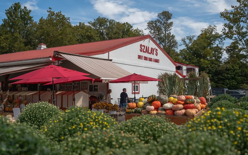 Szalay’s Farm & Market, Peninsula