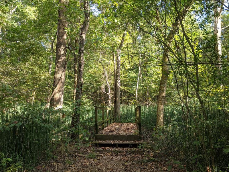 T.O. Fuller State Park - Memphis T.O. Fuller State Park - Memphis