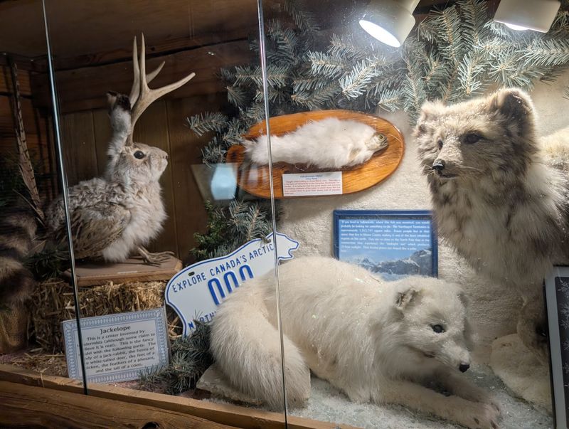 Taxidermy Hall of Fame of NC Taxidermy Hall of Fame of NC