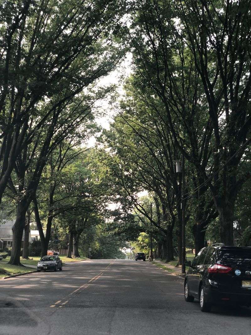 Teaneck