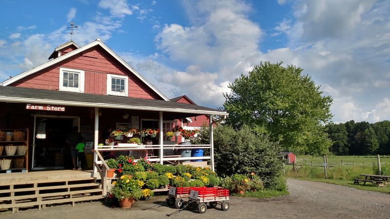 Terhune Orchards Terhune Orchards