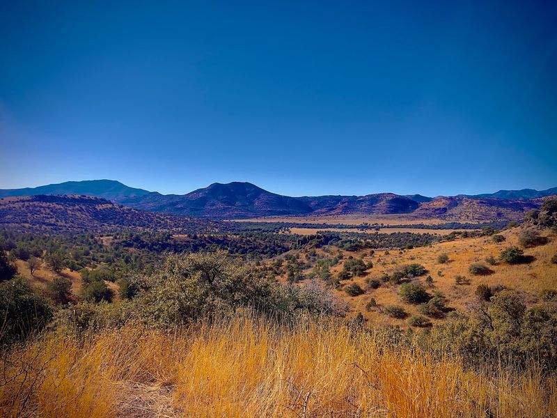 Texas State Highway 118 (Fort Davis to Study Butte)
