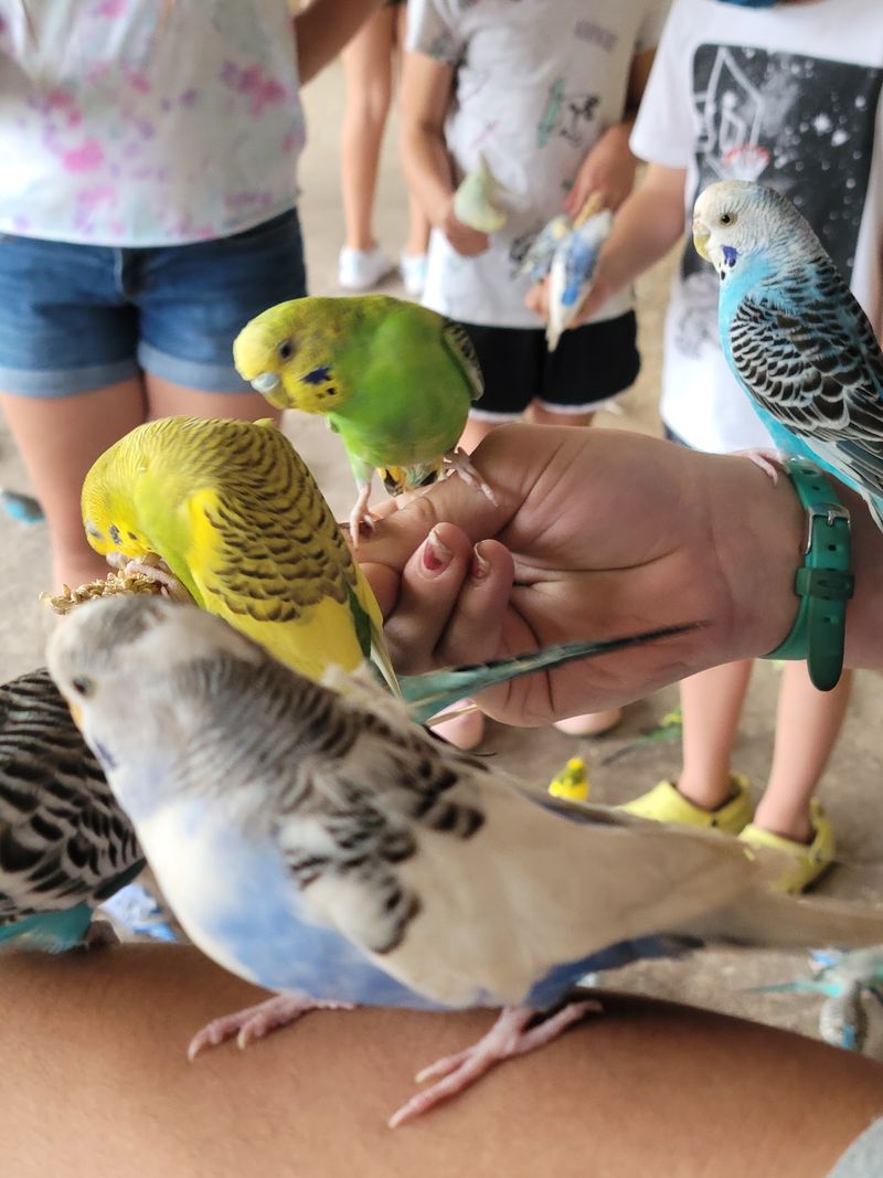 The Aviary And Smaller Encounters Add Surprise And Joy