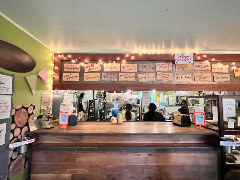 The Bent Spoon - Princeton