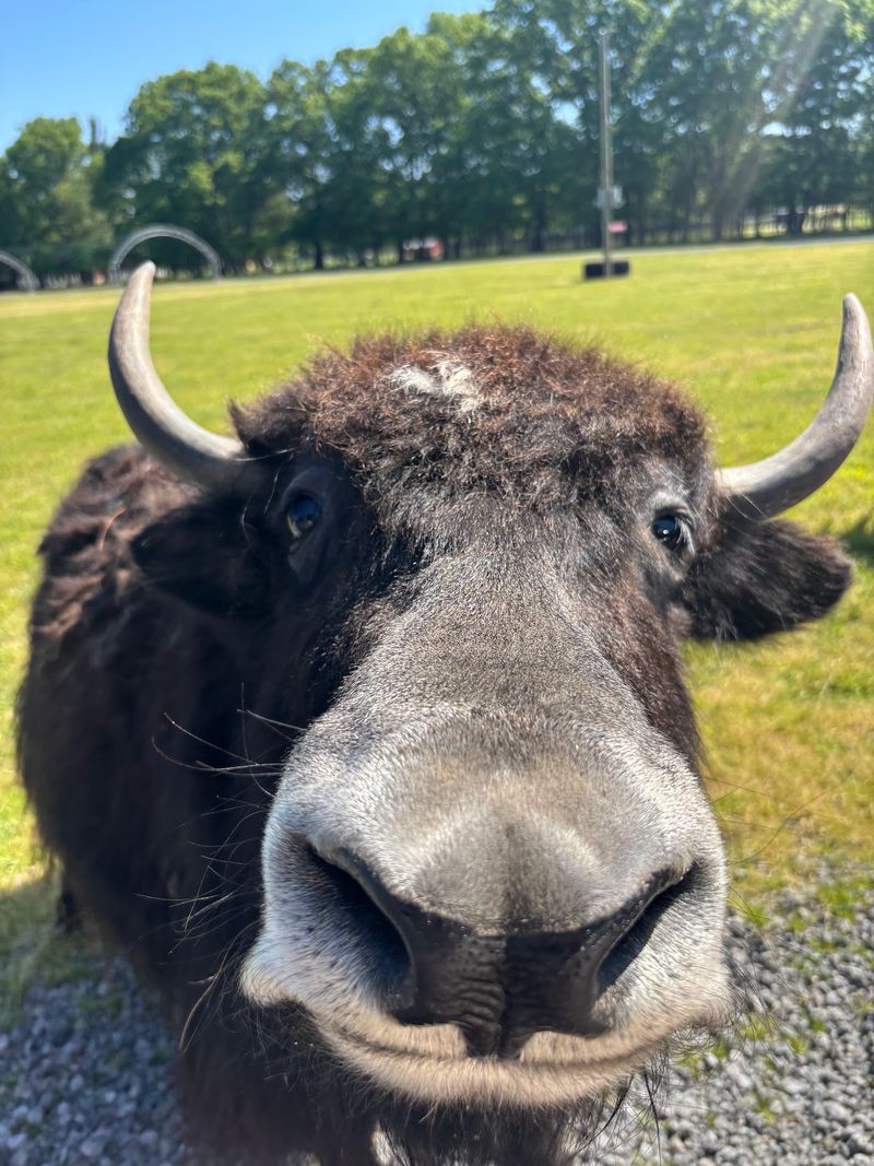 The Big Reason This Wildlife Park Stands Out
