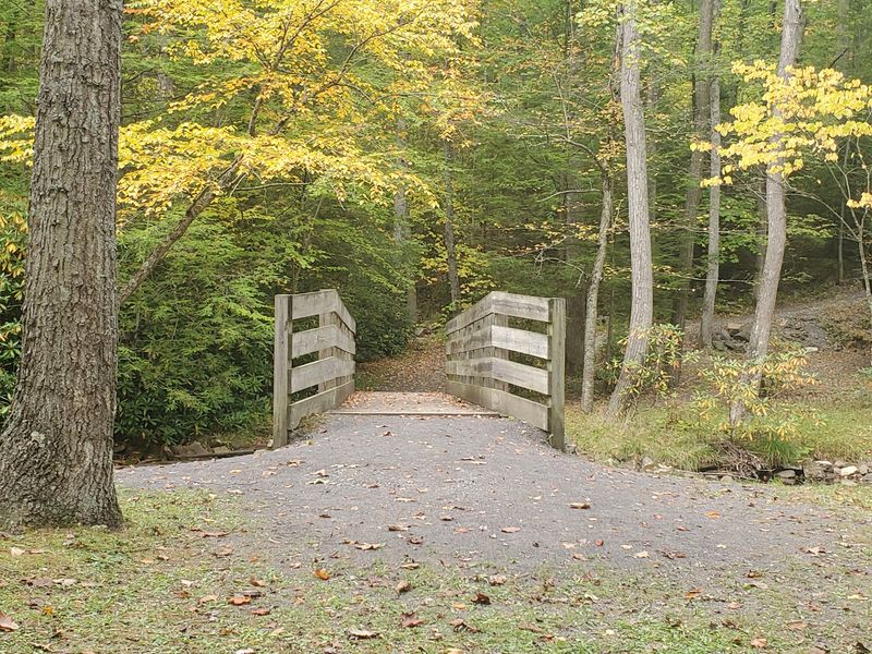 The Bridge Is Small But Memorable