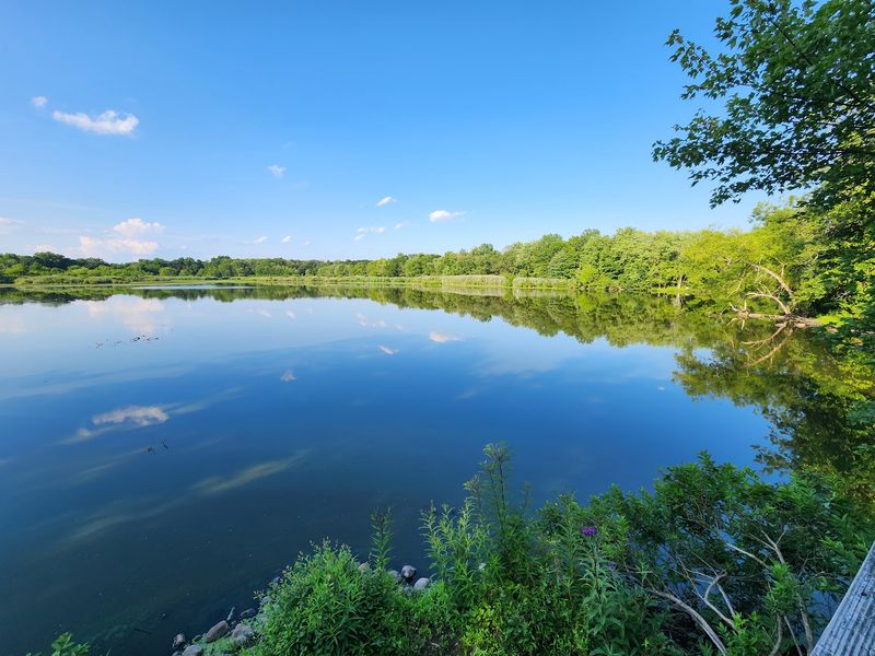 The Celery Farm Natural Area - Allendale The Celery Farm Natural Area - Allendale