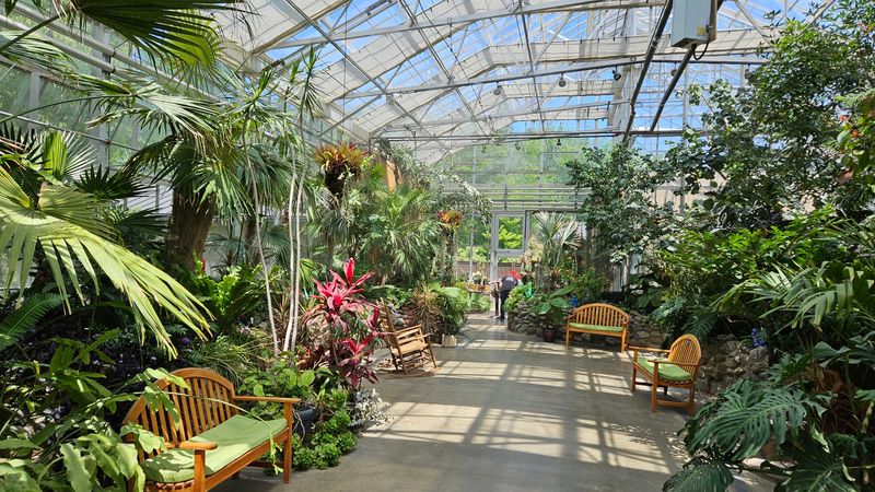 The Conservatory Makes a Smart Backup Plan