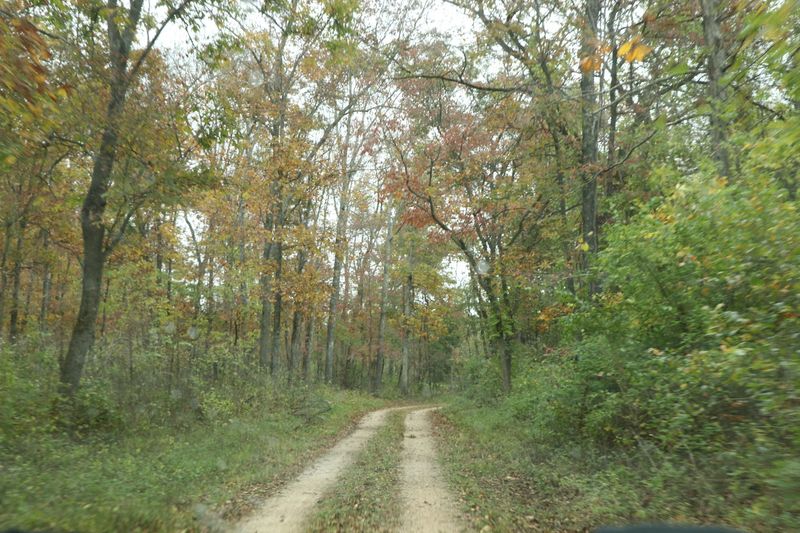 The Driving Tour Is Part Of The Adventure