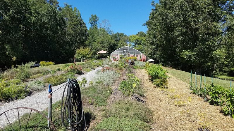 The Farm's Natural Beauty Makes Every Corner Worth Exploring