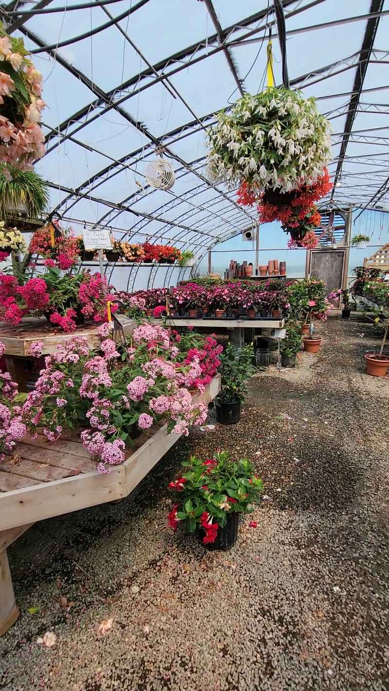 The Greenhouses Offer Colorful Finds Through the Seasons