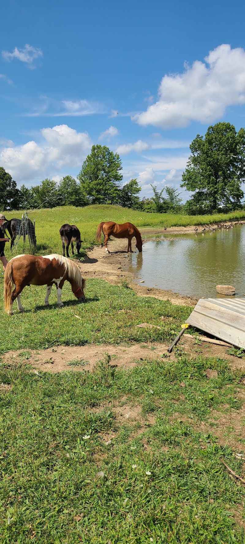 The Grounds Put Animal Comfort First The Grounds Put Animal Comfort First