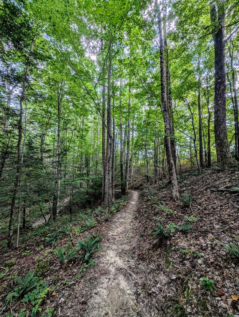 The Hiking Trails Lead Straight Into the Wild