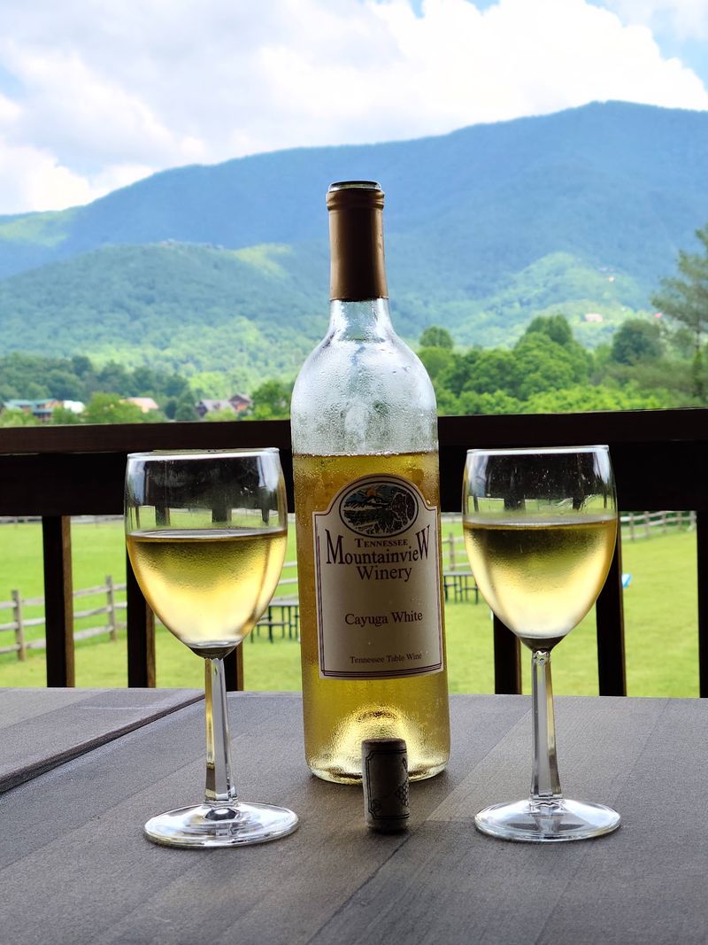 The Mountain Views Are Part of the Experience