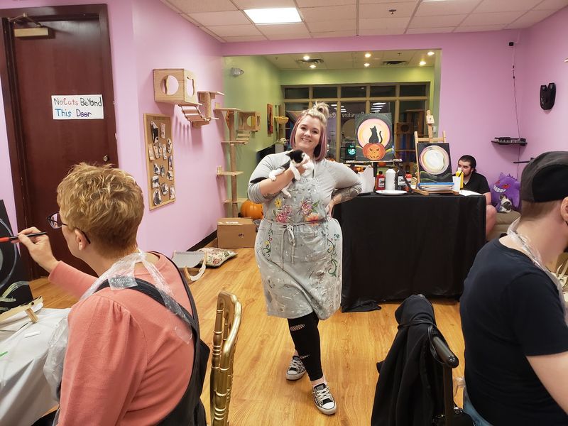 The Pawsitive Cat Cafe - 115 East Ave, Rochester, NY 14604