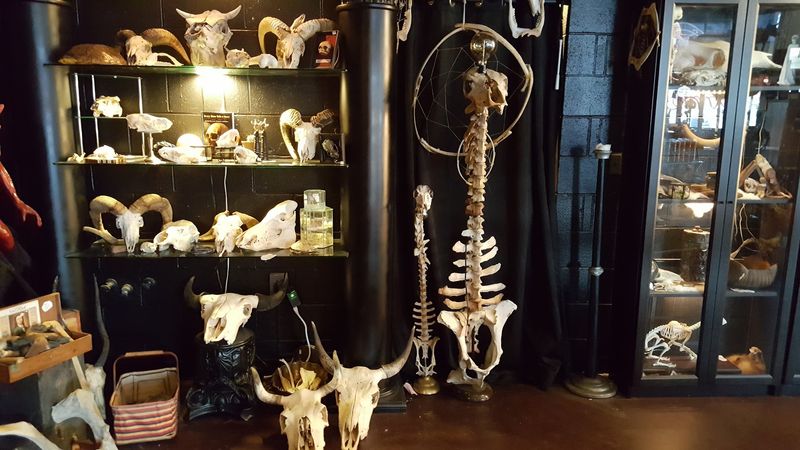 The Shelves Are Packed With Finds You Won't See Everywhere The Shelves Are Packed With Finds You Won't See Everywhere