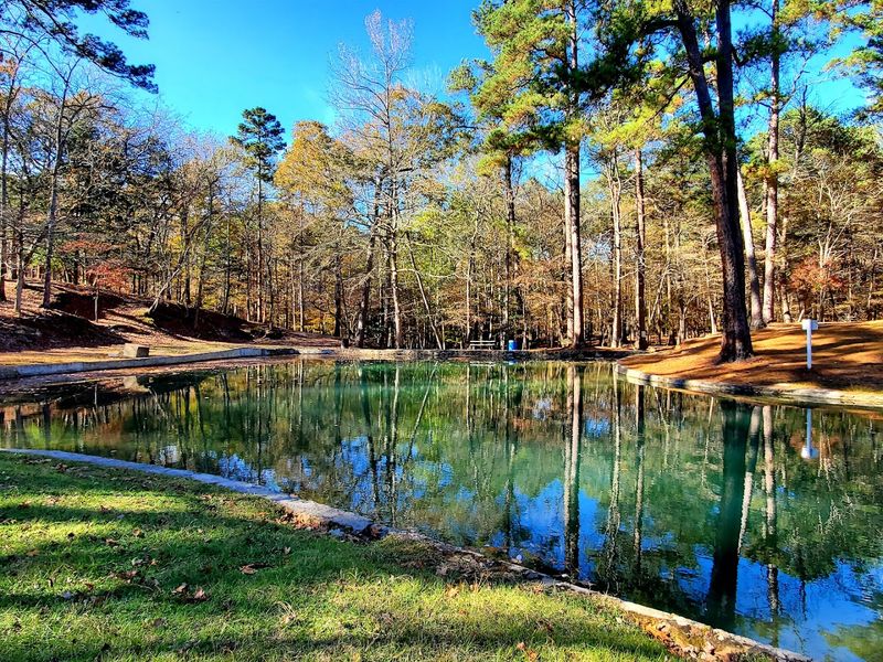 The Spring Fed Swimming Hole