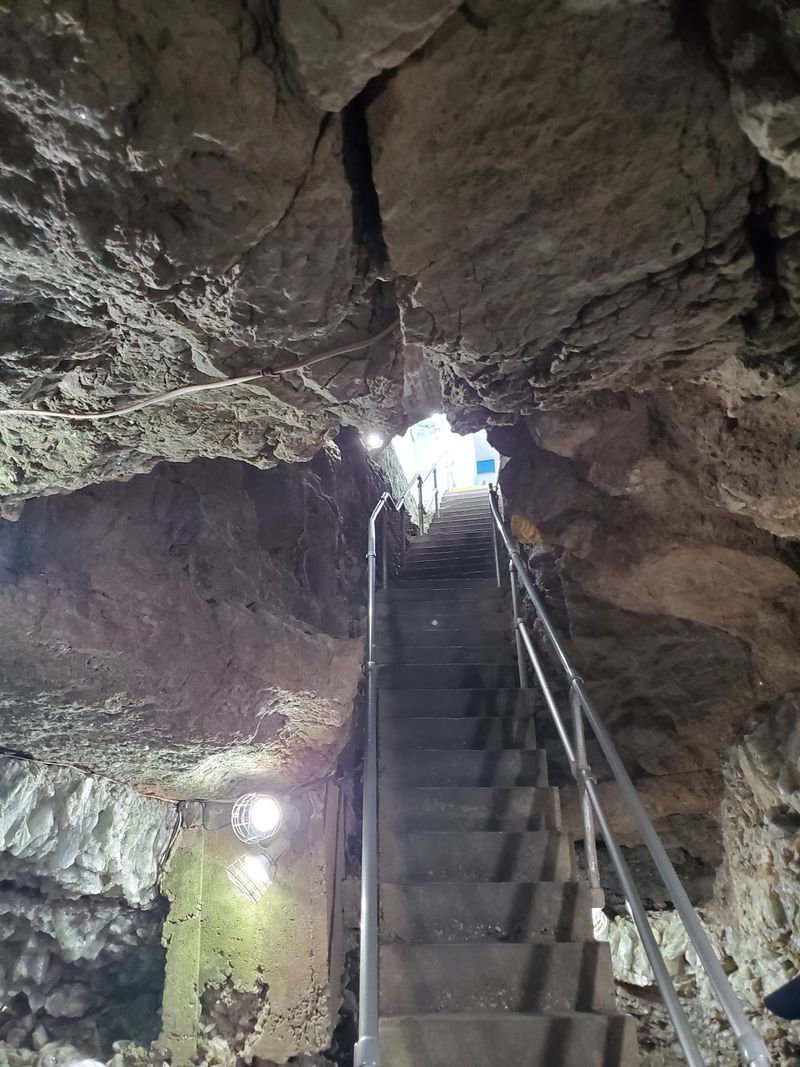 The Stairs Are Part of the Adventure