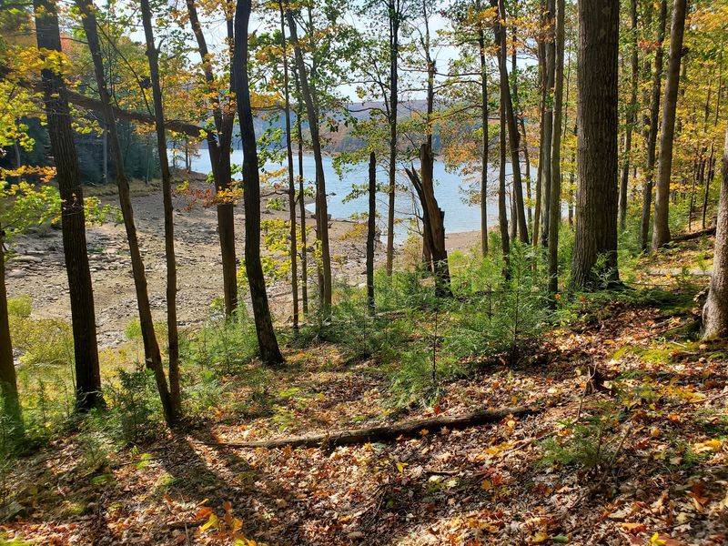 The Trail Down to Kinzua Beach Brings a Real Challenge The Trail Down to Kinzua Beach Brings a Real Challenge