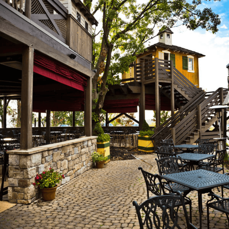 The Treehouse Style Makes It Memorable The Treehouse Style Makes It Memorable