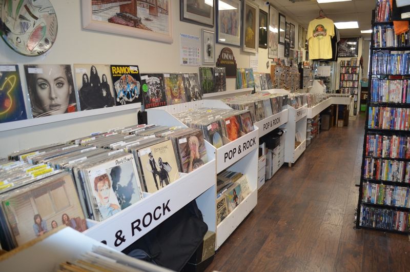 The Vinyl Dinosaur - Bayville The Vinyl Dinosaur - Bayville