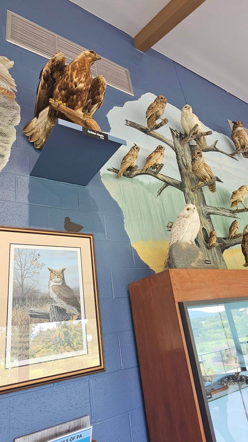 The Visitor Center Makes Nature Easy to Understand