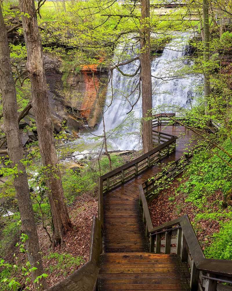 The Waterfall Steals The Show The Waterfall Steals The Show