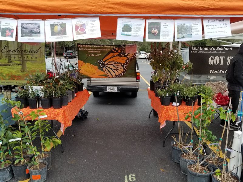 The Woodlands Farmer's Market at Grogan's Mill (The Woodlands)