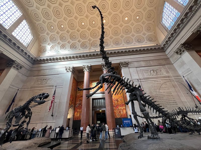 The dinosaur halls feel huge the moment you walk in The dinosaur halls feel huge the moment you walk in