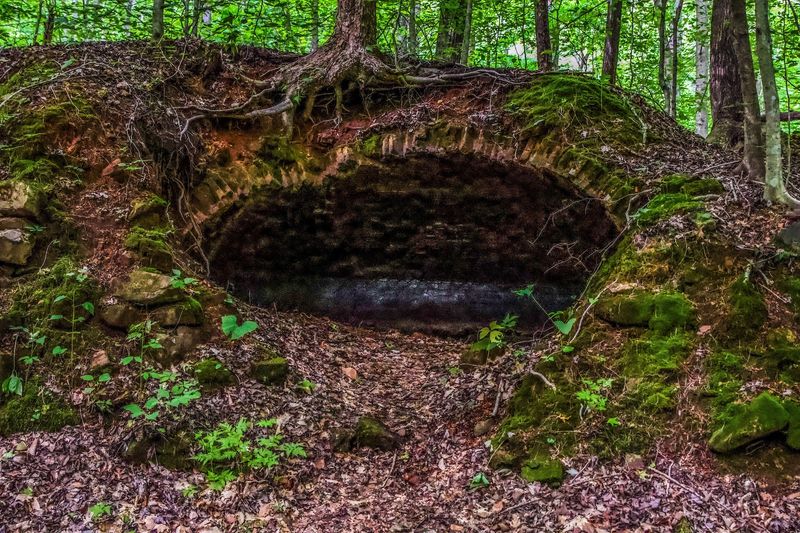 These Ovens Once Turned Mountain Coal Into Fuel for the Iron Industry