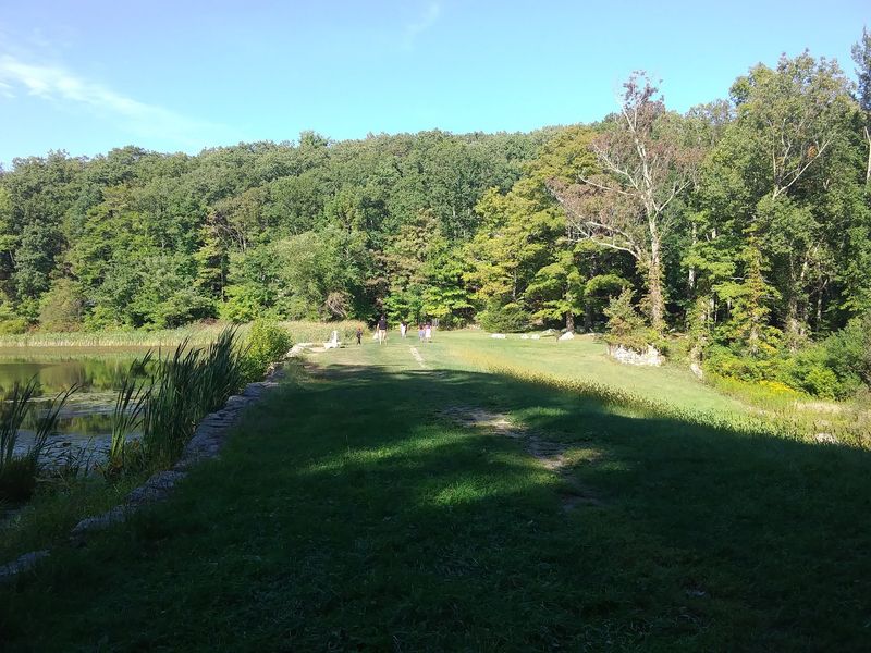 Thousands of Forested Acres Create Prime Black Bear Habitat Thousands of Forested Acres Create Prime Black Bear Habitat