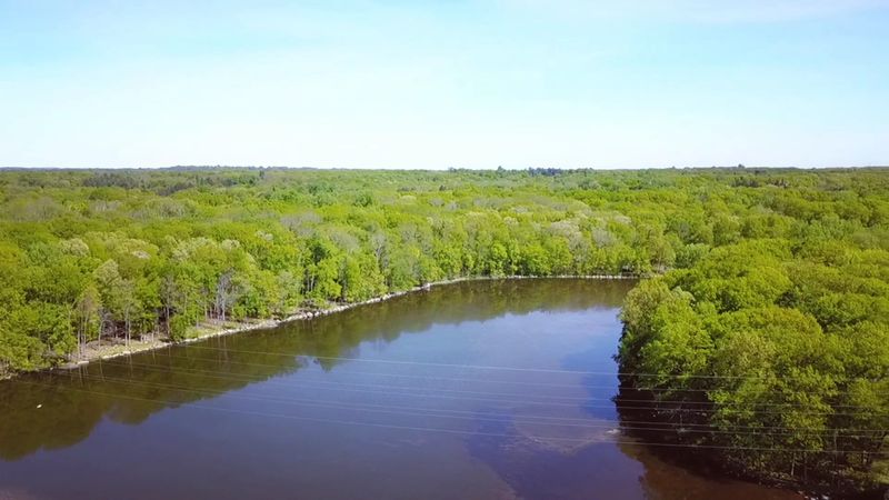 Three Lakes Make Darlington County Park a Summer Escape