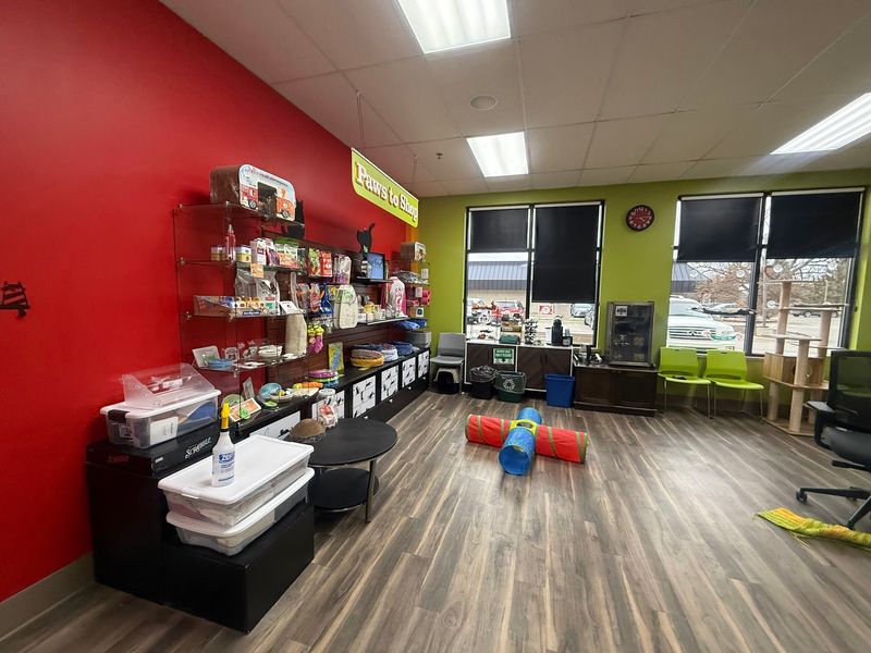 Tiny Lions Lounge & Adoption Center - Ann Arbor Tiny Lions Lounge & Adoption Center - Ann Arbor