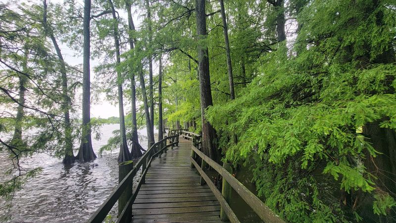Tiptonville, Tennessee - Reelfoot Lake