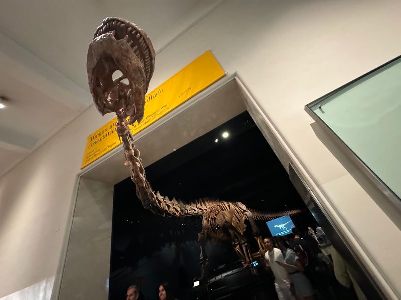 Titanosaur steals attention with pure size Titanosaur steals attention with pure size