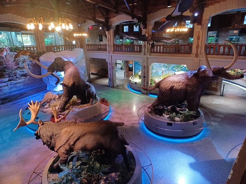 Toledo Zoo and Aquarium, Toledo Toledo Zoo and Aquarium, Toledo