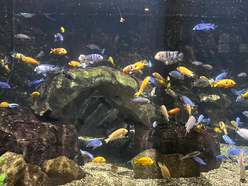 Touch Tanks Make Learning Feel Hands-On