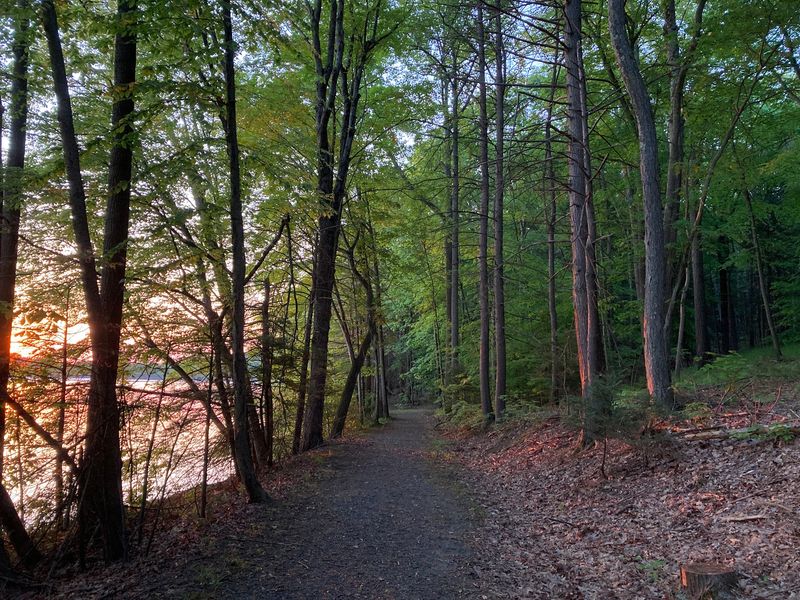 Trails Lead From Mill Stories To Forest Views