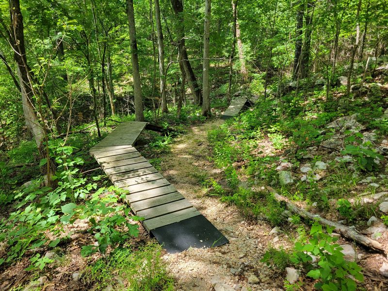 Trails Made for Slow Wandering Trails Made for Slow Wandering