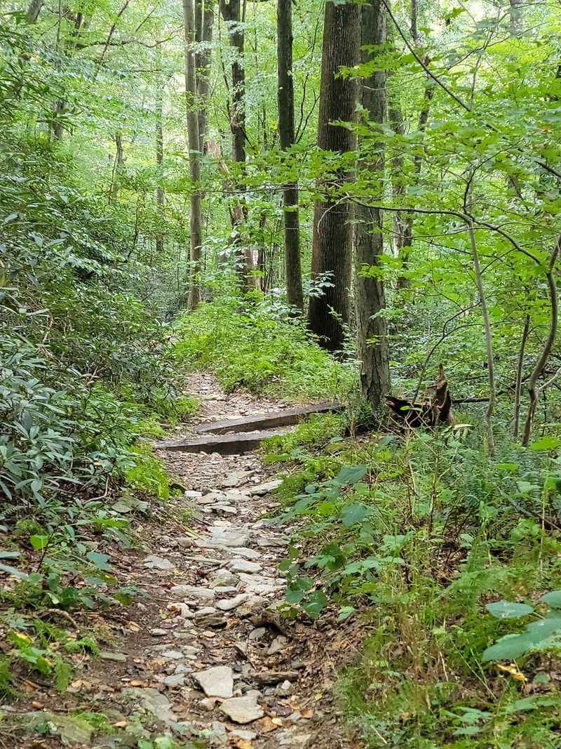 Trails Offer Easy Walks and Tougher Climbs Trails Offer Easy Walks and Tougher Climbs