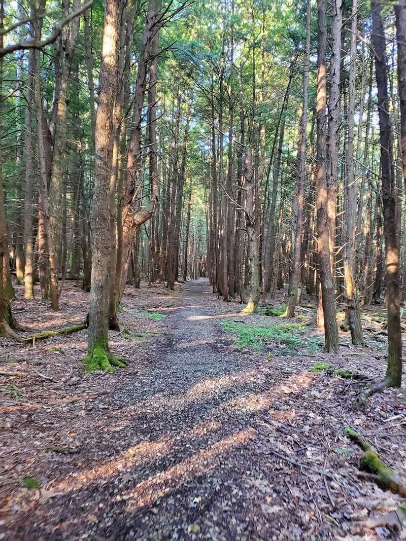 Trails Offer Fresh Air Without Big Crowds