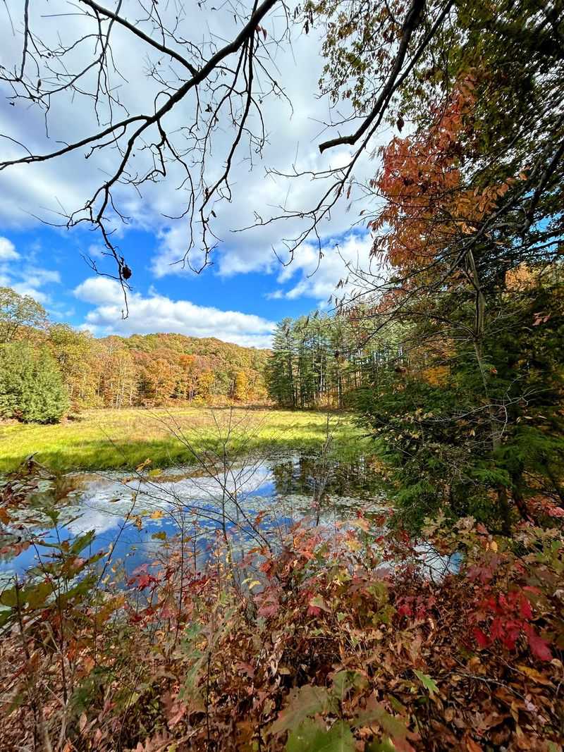 Trails That Keep the Lake in the Story Trails That Keep the Lake in the Story
