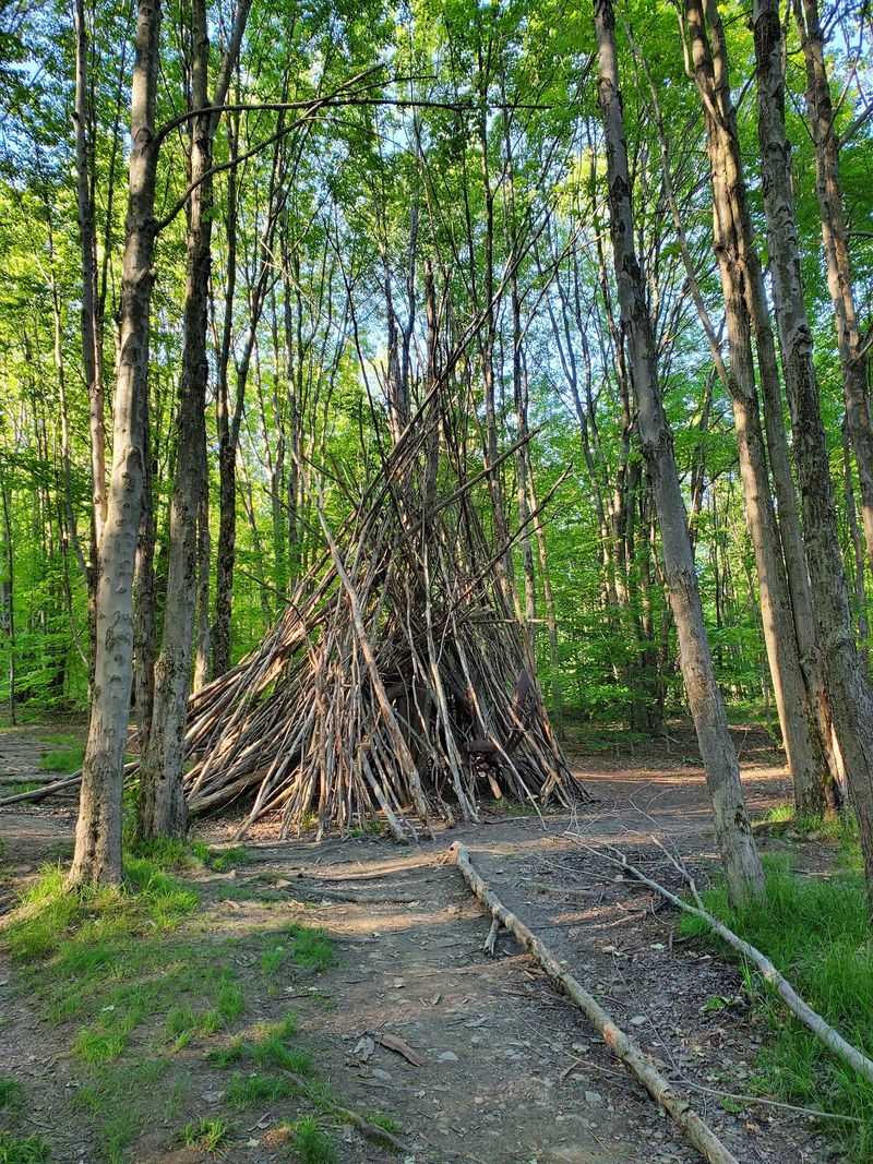 Trails That Turn Hiking Into A Scavenger Hunt Trails That Turn Hiking Into A Scavenger Hunt