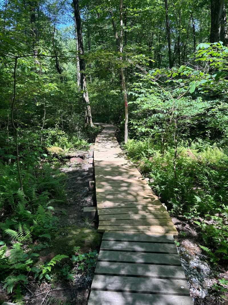 Trails Wind Through Woods, Water, and Quiet Corners