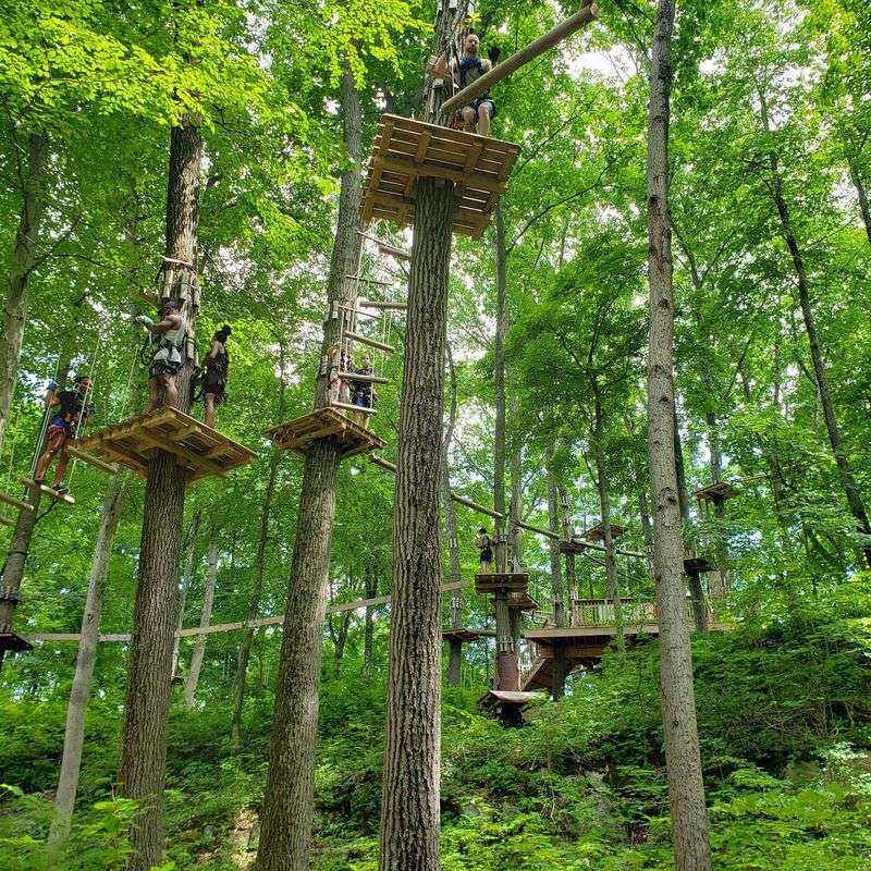 TreEscape Aerial Adventure Park - Vernon Township TreEscape Aerial Adventure Park - Vernon Township